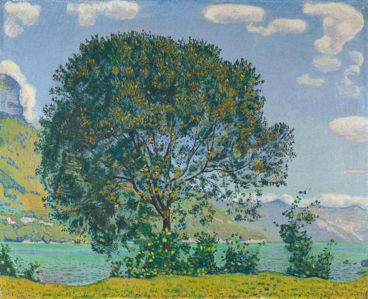 Albero sul lago di Brienz dal Bödeli - Kunsthaus Zurigo